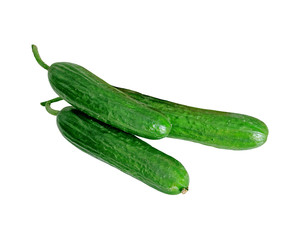 Green fresh cucumbers isolated on a white background