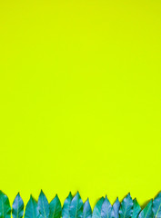 Obraz premium Green leaves on yellow background. Healthy lifestyle photo. Beautiful wallpaper. Nature concept. Minimalist.