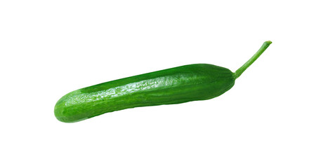 Green fresh cucumber isolated on a white background