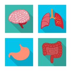 Vector illustration of human and health sign. Collection of human and scientific vector icon for stock.