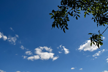 sch&ouml;nwetterhimmel