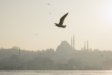 Fototapeta na wymiar Panorama of Istanbul, view of Bosporus and The Yeni Camii mosque from Galata bridge in sunlight, popular touristic destination, silhouettes of seagulls in the sky, travel theme background