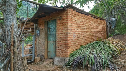 Trilha Brejo da Madre de Deus