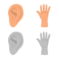 Vector illustration of body and part symbol. Set of body and anatomy vector icon for stock.