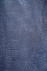 Blue textured leather reptiles, used texture for the background. Lizard or crocodile skin
