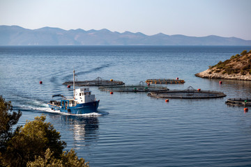 Fishing boat in fish farm in early morning on island Brac in Croatia