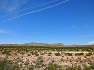 Scenic summer natural landscape of California, USA