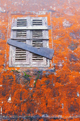 Abstract orange moss and lichen growing on ancient stone wall.