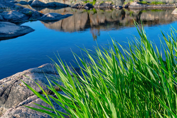Fototapeta na wymiar Baltic sea shoreline during a sunny morning, granite rocks and stones with green grass