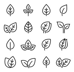 set of line leaf icons - 275304883