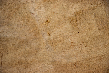 Vintage worn wood gate texture