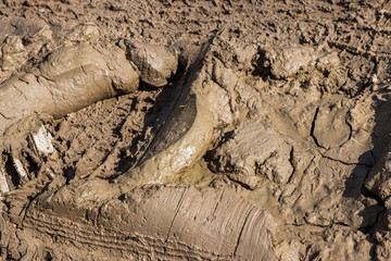 Wheel track on mud background and texture