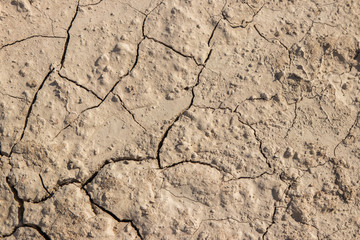 Dry soil,Dry cracked ground texture background