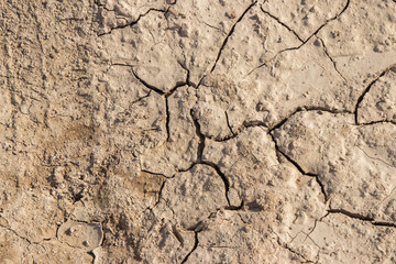 Dry soil,Dry cracked ground texture background