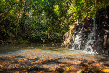 Ton Aow Yon Waterfall rich natural resources,in the forest,asia tropical areaat Island Phuket Thailand.