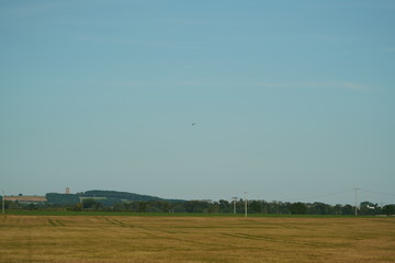 different horizon shapes and lines in green