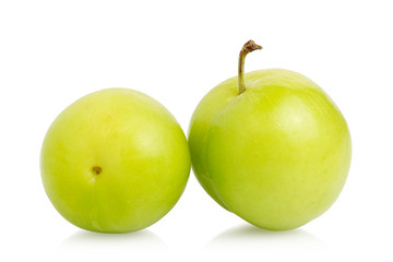 wild plums isolated