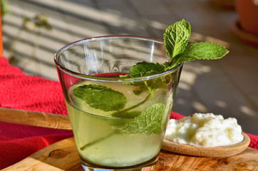 Water kefir drink with fresh mint leaves