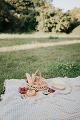 picnic in nature