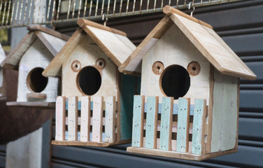 Bird's house cartoon hanging for bird family at animal market,bird's nest.