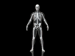 Human skeleton with transparent body isolated in black background 3d render