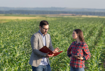 Businessman and farmer talking in field © Budimir Jevtic