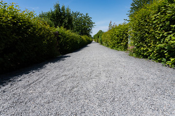 Low angle view of a long straight path with gravel in the sunlight