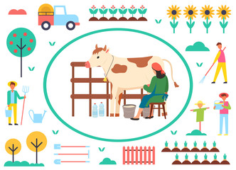 Farming people vector, woman with cow and bucket with organic liquid, milkmaid and scarecrow, trees with ripe fruits, sunflower plantation, tractor