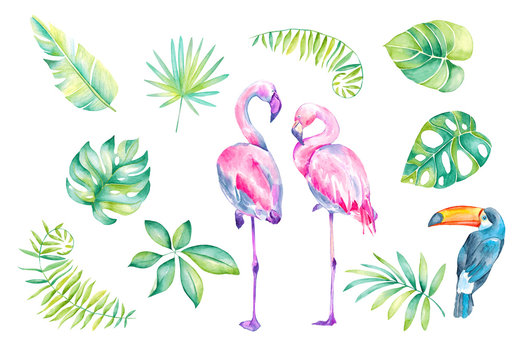 Watercolor illustration of tropical leaves,flamingo bird, Toucan.Hand painted. Banner with tropic summertime motif. Palm leaves.