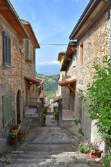 Fototapeta na wymiar The alleys with plants and flowers of the old town of Arpino in Italy