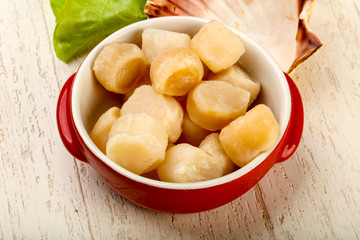 Raw scallops heap