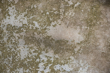 Metal green grunge dirty stained mold background texture