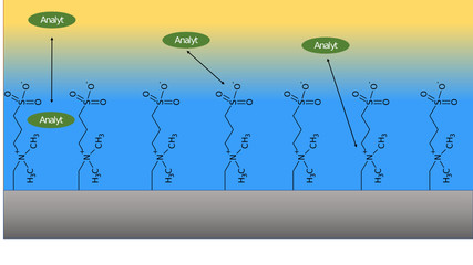 Zwitterionic hydrophilic liquid interaction chromatography, ZIC-HILIC HILIC HPLC Chromatographie, Forschung, Wissenschaft
