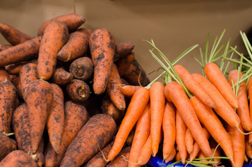 washed and dirty carrots on the market counter