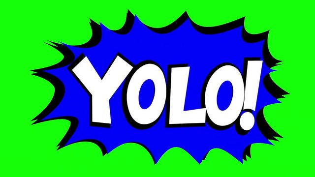 A comic strip speech bubble cartoon animation, with the words Wtf, Yolo. White text, blue shape, green background.