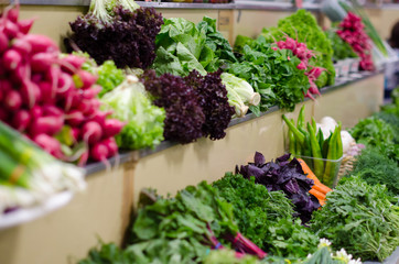 Green and fresh greens on the counter of the market. Different types of greenery.