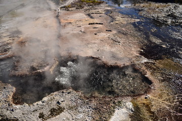 New Zealand volcanic area with hot pools