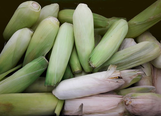 Many Fresh corn in Supermarket, Food Concept