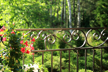 Artystyczne metalowe ogrodzenie, piękna dekoracja w ogrodzie, czerwone kwiaty, las, ogród. © Stanisław Błachowicz