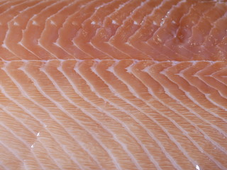 piece of fresh salmon fillet. health food.