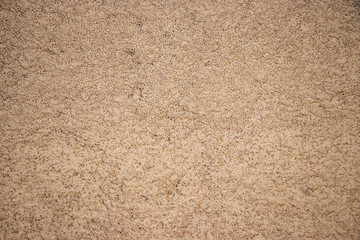 Beige painted grunge wall rough texture