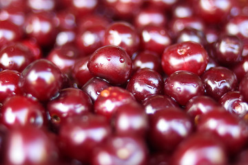 Close up of ripe cherries with water drops, copy space. Red cherries background. Food concept