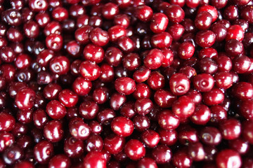 Close up of ripe cherries with water drops, copy space. Red cherries background. Food concept