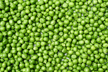 Fototapeta na wymiar Fresh green peas texture background, copy space. Top view, above