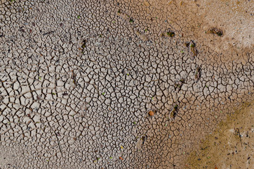 dry ground