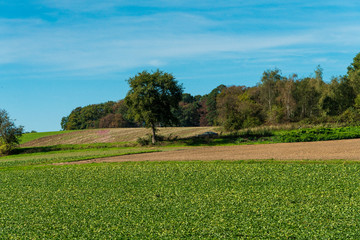countryside around a farm