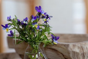 Wild flowers of "Forget-me-not" of lilac color in a glass vase on a light background. Soft focus. Easy блюр. Macro.