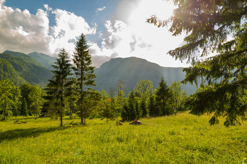magnificent landscape of mountains in Slovenia, lake Bohinj