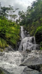 waterfall in the forest