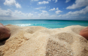 Tropical Island with a paradise beach and palm trees